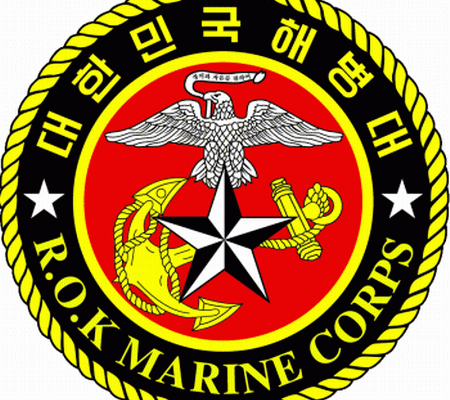 대한민국 해병대 병과: 각 병과의 특성과 역할